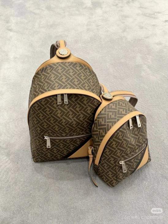 Picture of Fendi Handbags _SKUfw237506834fw